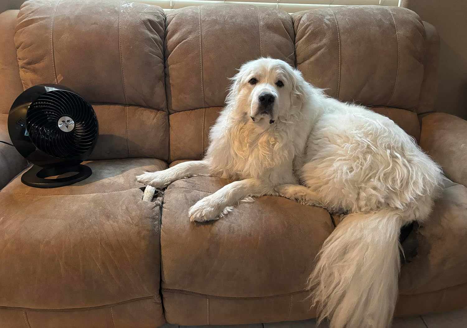 Vornado Circulador de ar para sala inteira 560 com 4 velocid... - Image 2