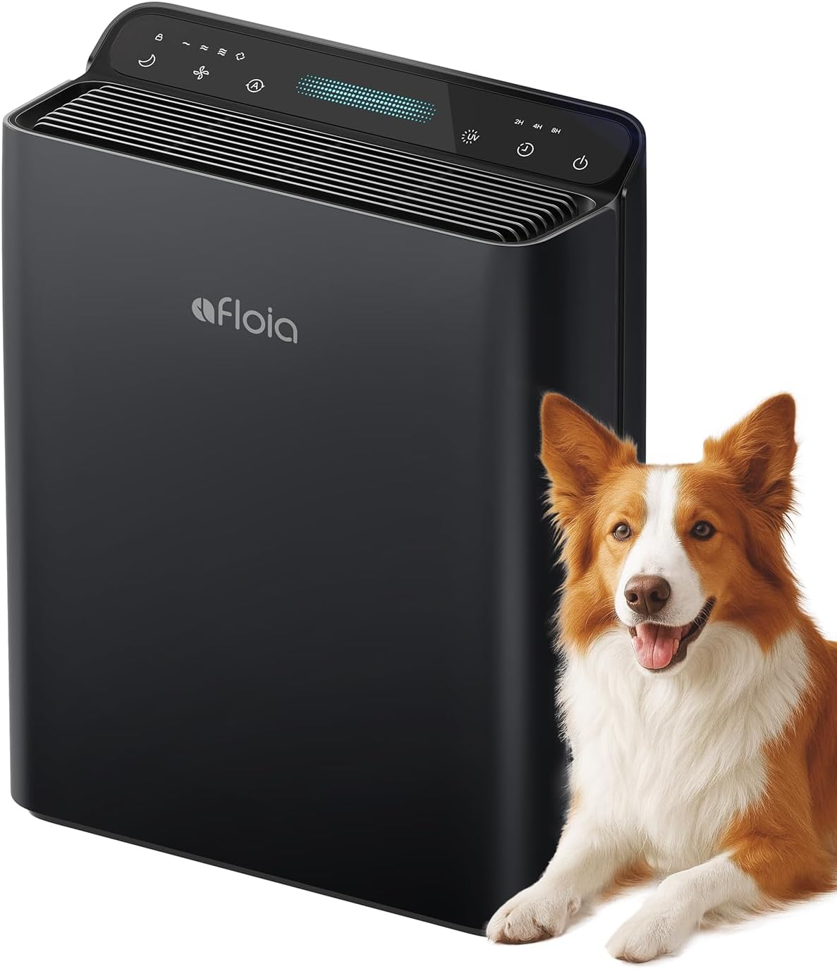 Afloia Purificador de ar para casa, sala grande, quarto de a... | É bom mesmo? Descubra antes de comprar