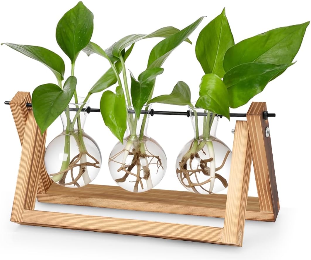 Vaso de Vidro Redondo Decorativo para Plantas, Propagação de Plantas com Suporte de Madeira, Vaso de Vidro Decorativo de Mesa, Com Suporte de Madeira para Vaso Decoração de Mesa