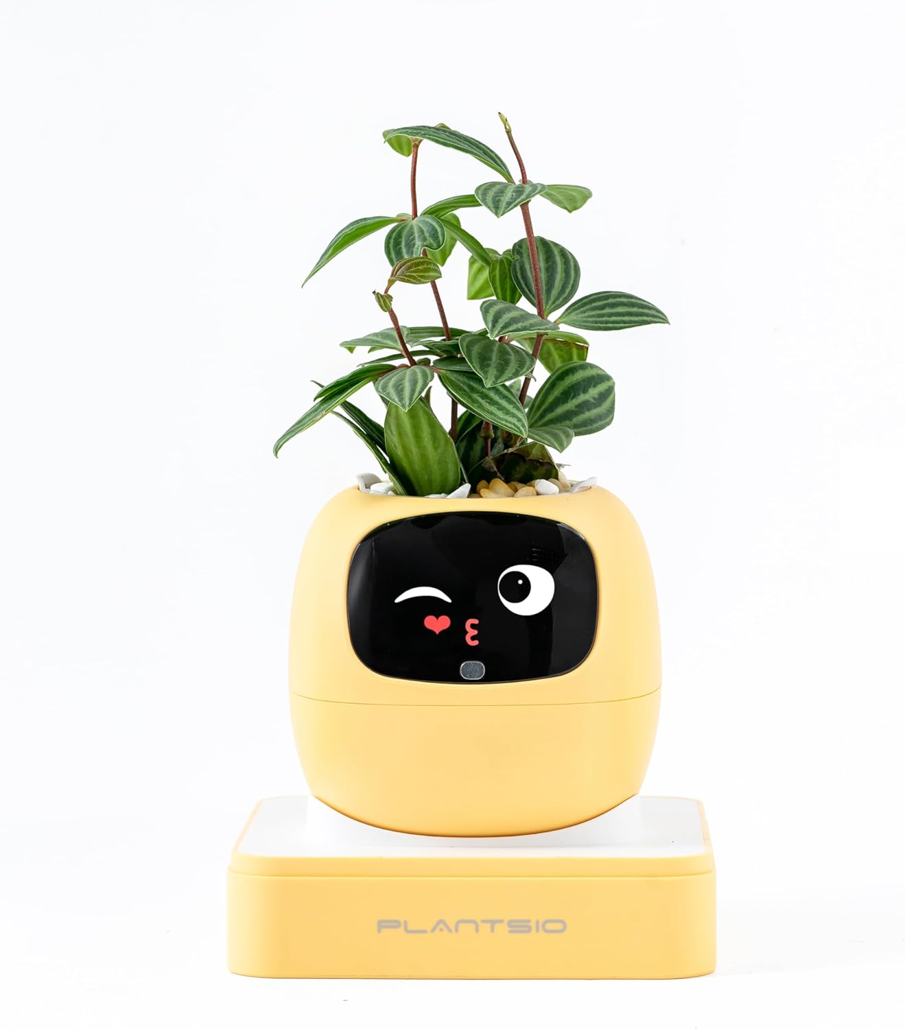 Ivy AI Vaso de plantas inteligente com emoji robô de plantador inteligente para plantas de casa Tamagotchi Vaso de flores elegante Plantagotchi decoração de casa (Lemon)